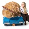 Gran Goods Dog Comb Detangle Hair Pet Grooming Supplies-3