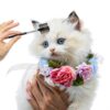 KALIONE Dog Tear Comb Stain Remover Double Sided Pet-4