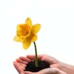 Ugly Me Childrens Book Kindle Edition English Language-0