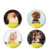 Bigwig Dual Pet Grooming Tool Set Dog Cat Comb Detangler-2