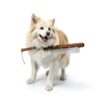 Gran Goods Dog Comb Detangle Hair Pet Grooming Supplies-2