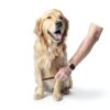 Gran Goods Dog Comb Detangle Hair Pet Grooming Supplies-4