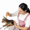 STA Pet Grooming Comb Wooden Handle Metal Teeth Detangling-6