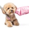 Doodle Brush Stainless Steel Dog Comb Grooming Mat Tangles-1
