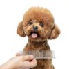 Dog Comb BEVTEE Stainless Steel Grooming Set-7