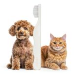 Petora Dog Eye Comb Stainless Steel-0