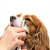 Petora Dog Eye Comb Stainless Steel-2
