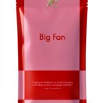 Big Fan Book 1 of 3 Rockstar Romance Novel by 831 Stories Edition-0